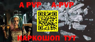 гашик Кимры