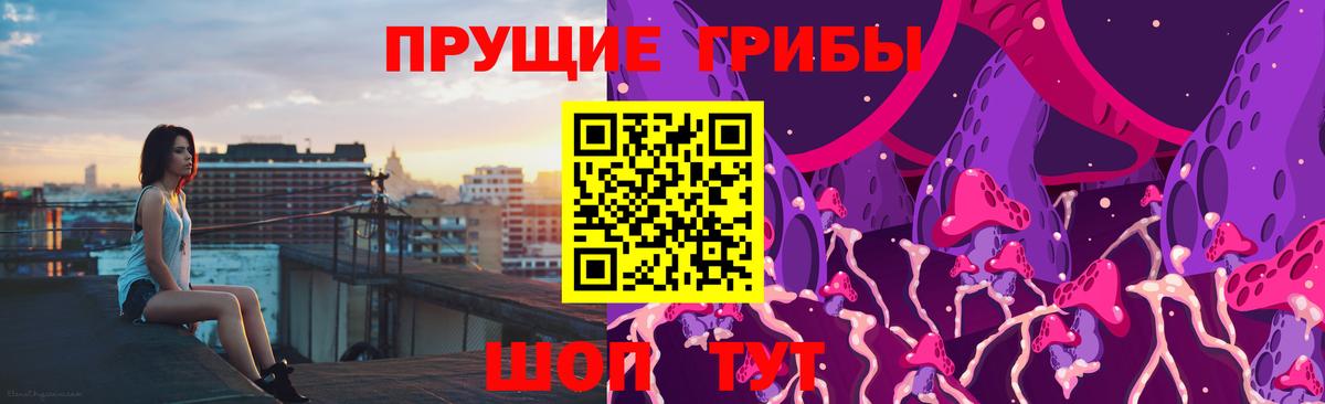 Псилоцибиновые грибы мухоморы  Вход с VPN  Зеленогорск  Псилоцибиновые грибы ЛСД 